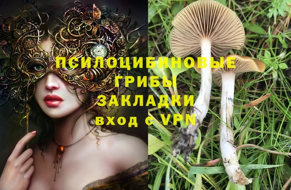 первитин Медвежьегорск