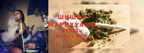мдпв Михайлов