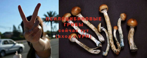 бутират Михайловка