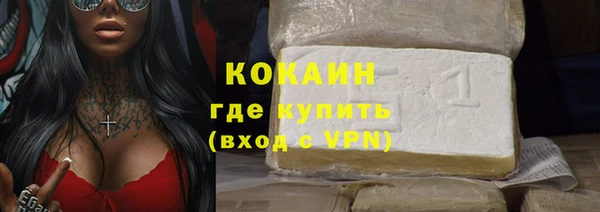 мдпв Михайлов