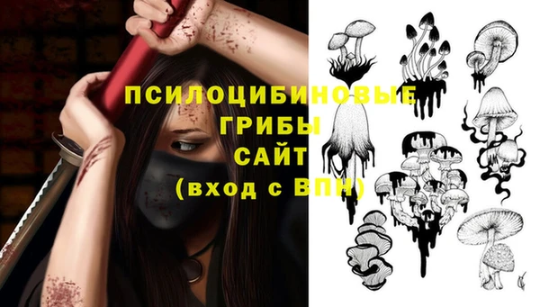 дмт Михайловск