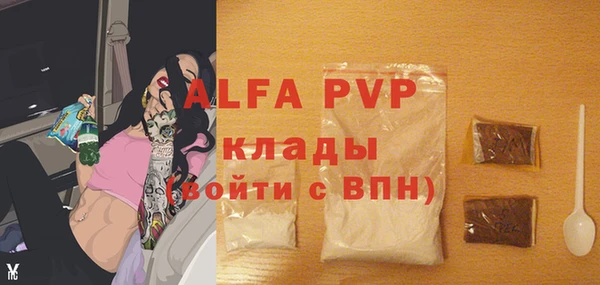 мдпв Михайлов