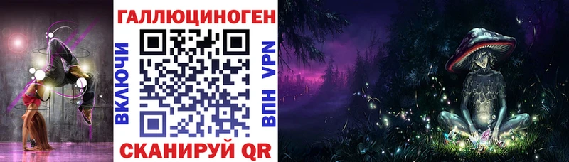 закладка  Нестеров  Галлюциногенные грибы мицелий 